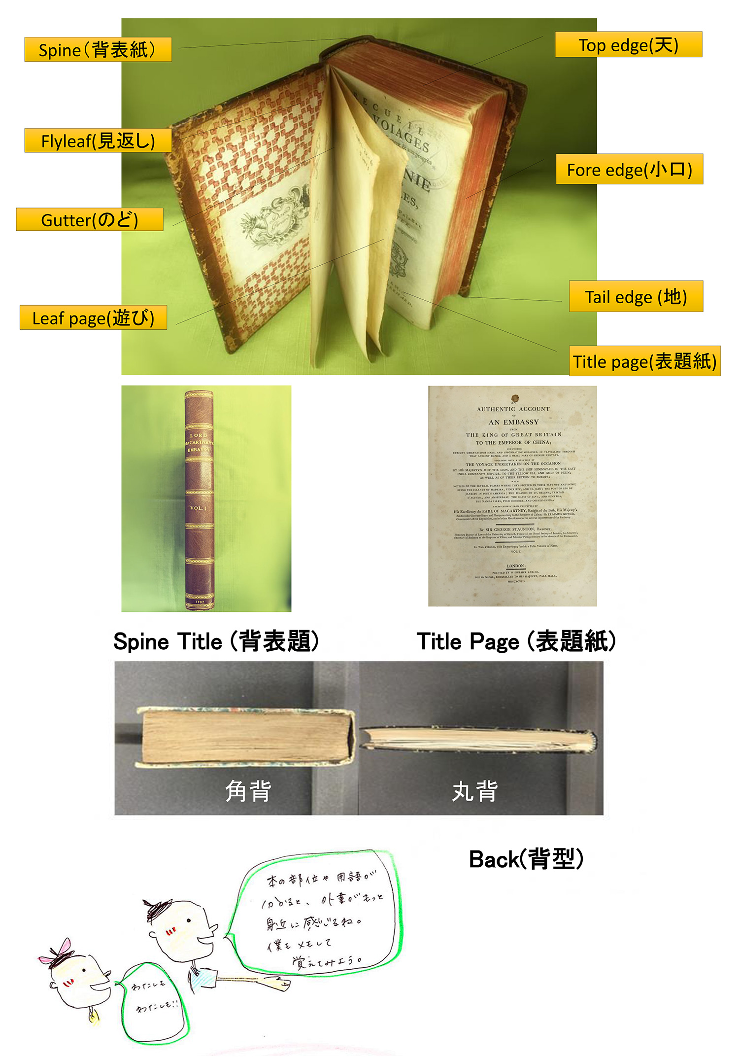 本の様々な部位と用語の解説