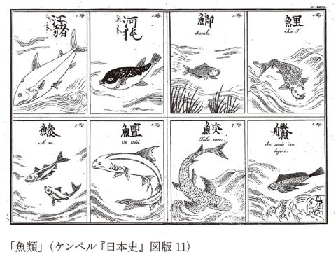 エンゲルト・ケンペル『日本史』の表紙図版