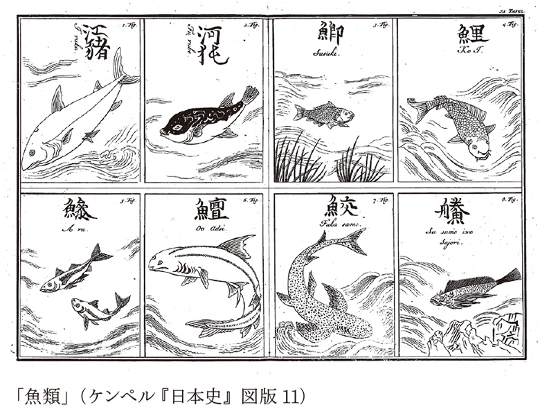 エンゲルト・ケンペル『日本史』の表紙図版